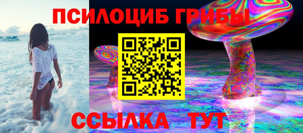 Клин  Галлюциногенные грибы GOLDEN TEACHER  Вход с VPN 