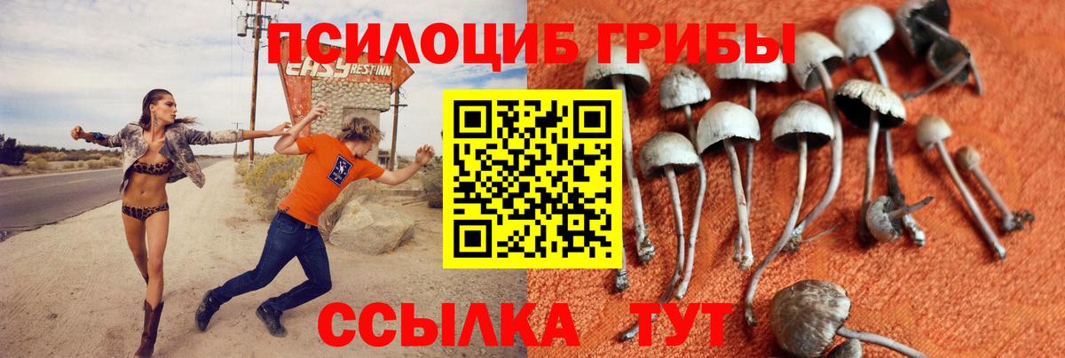 Клин  COCAIN  Меф МЯУ МЯУ   Бошки Шишки  ГАШ  Alpha-PVP СОЛЬ кристаллы  Лсд 25  Вход с VPN  ГАШИШ 